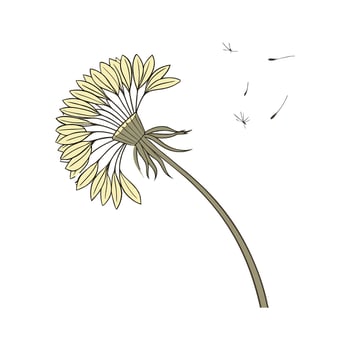 Vibrant Dandelion Design on Bright White vector