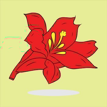 Bright Red Lily Flower Illustration on Light Green Background vector