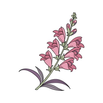 Charming Snapdragon Design vector
