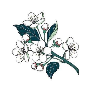 Elegant Viburnum Opulus for Unique Arrangements vector