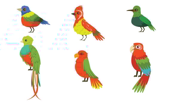 Tropical Birds Collection, Beautiful Birdies with Colored Plumage Illustration vector