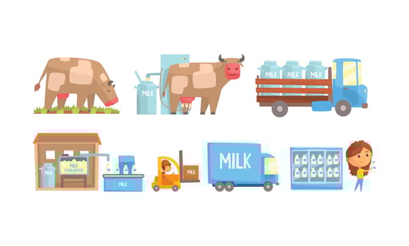 Stages of Milk Production Illustrated Set vector