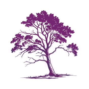 Elegant Copper Beech Tree Bold Outline Illustration vector