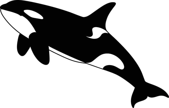 Black and white orca whale swimming gracefully in a minimalistic design style art vector