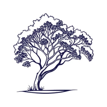 Queens Crape Myrtle Tree Bold Outline for Art vector