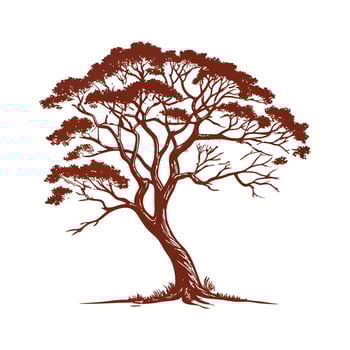 Charming Brazilian Rosewood Tree Outline for Design vector