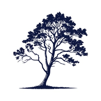 Bold Outline White Poplar Tree vector