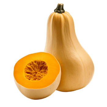 Butternut squash on transparent background for culinary use png