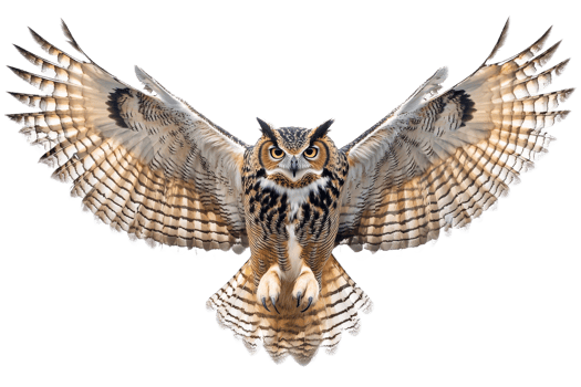 Majestic owl in mid flight with outstretched wings png