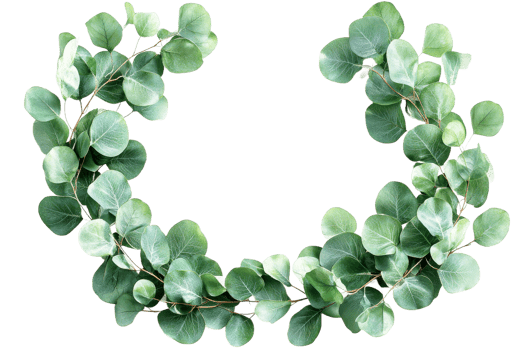 Elegant green leaves arranged in a circular design png