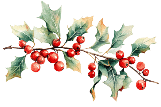 Bright holly branch with red berries and green leaves png