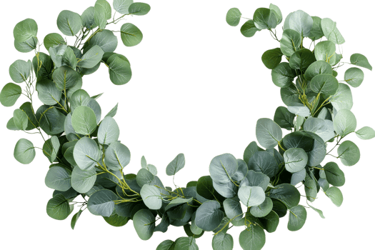 Beautiful green foliage wreath with transparent background png