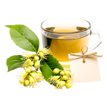 Fresh Herbal Tea with Blossoms and Green Leaves on png