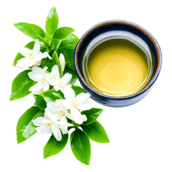 Fresh Green Tea Infused with Jasmine Flowers and Leaves png
