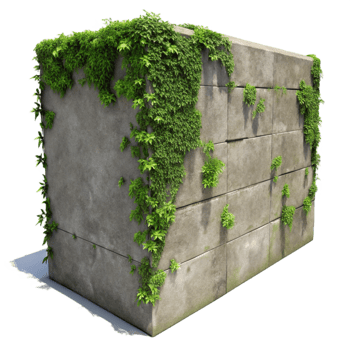 dramatic minimalist Overgrown Concrete Wall Texture Transparent Background premium png