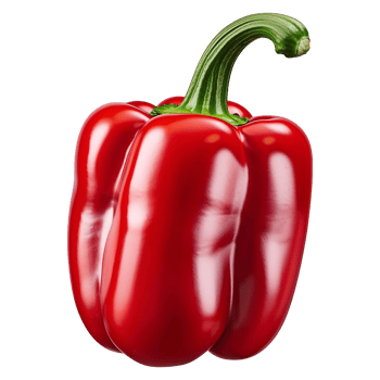 Realistic Red Pepper Image Download for Commercial Use png