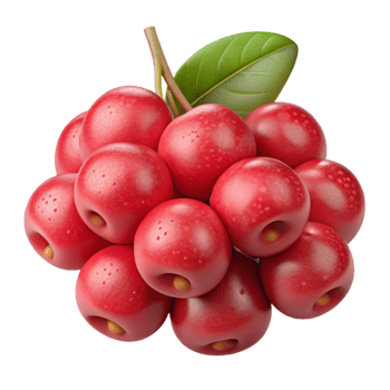 extraordinary traditional Schisandra Berries Isolated with Red Hues exclusive png