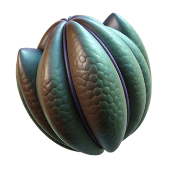 extraordinary classic Seed Pod Structure Isolated with Dark Background professional png