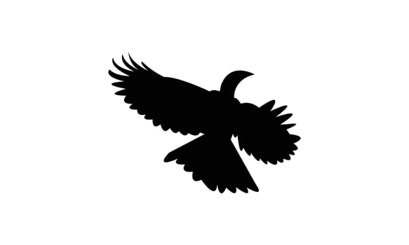 Flying African grey hornbill black Silhouette Design And Illustration. vector