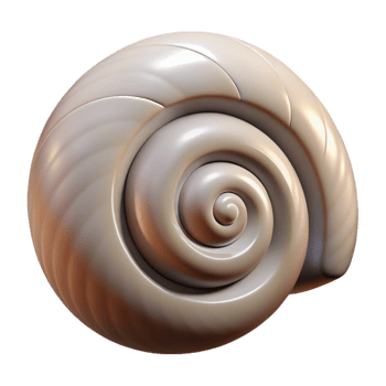 impressive vintage Single Shell Spiral Shape Cutout Element detailed png