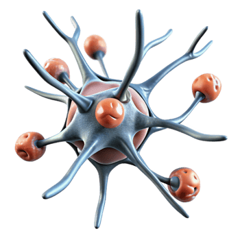 dramatic minimalist Synaptic Plasticity Illustration Transparent Background with Animated Neurons original png