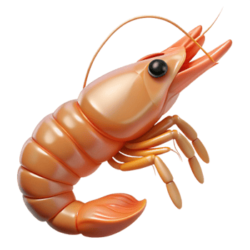 serene rustic Synthetically Grown Shrimp Isolated Transparent Background genuine png