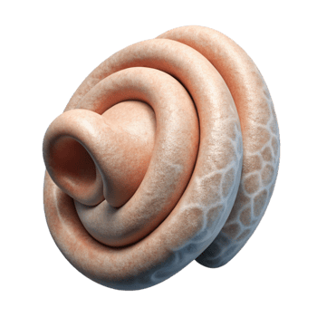 extraordinary abstract Textured Auditory Stimulus Pattern Isolated Element with Noise Texture premium png