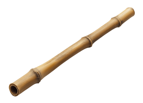 Bamboo Stick, Cut Out png