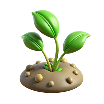 stunning vintage Time Lapse Plant Growth Sequence Isolated authentic png