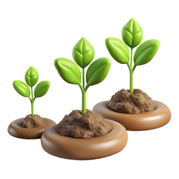 impressive classic Time Lapse Plant Growth Sequence Isolated genuine png