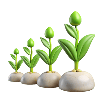 dramatic vintage Time Lapse Plant Growth Sequence Isolated genuine png