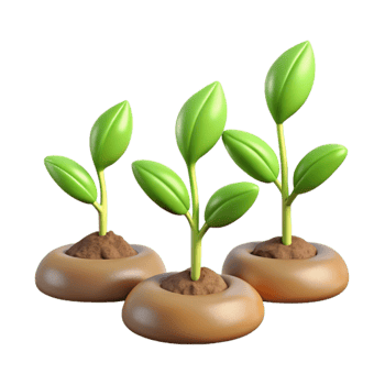 extraordinary abstract Time Lapse Plant Growth Sequence Isolated genuine png