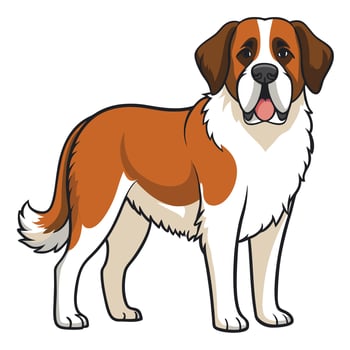 Majestic Saint Bernard Dog Isolated on Plain White Background vector