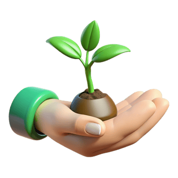 beautiful abstract Volunteer Hand Holding Seedling Isolated with Green Sprout professional png