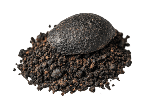 Close-up of black coffee ground pile with single coffee bean on top png