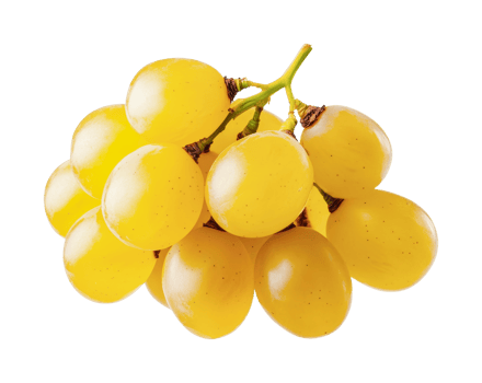 Fresh yellow grapes cluster with stems on black background reflecting shiny texture png