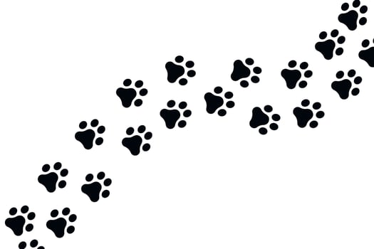 Dog paw prints vector