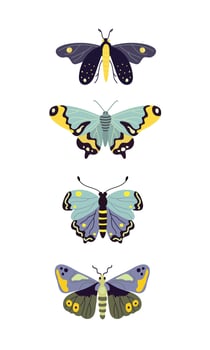 Set of butterflies in blue tones, flat style illustration on white background vector