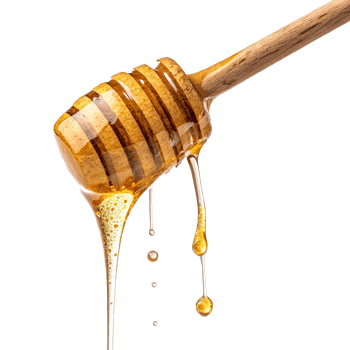 best honey dripping from a wooden stick on a transparent background png