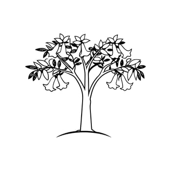 Artistic Illustration of Angels Trumpet Tree vector