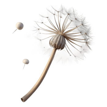 extraordinary vintage Single Dandelion with Seeds Blowing Away Cutout genuine png