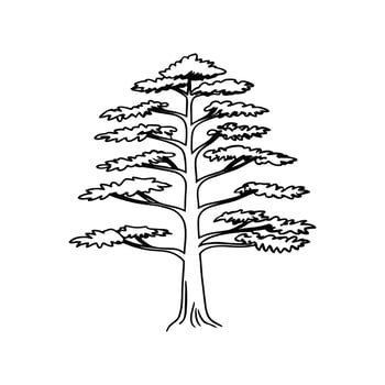 Stylish Cryptomeria Tree Illustration vector