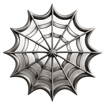 magnificent vintage Spiderweb Silhouette Cutout with Delicate Lines authentic png