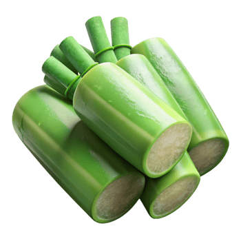 impressive minimalist Sugar Cane Harvest Fresh Green Transparent Background high resolution png