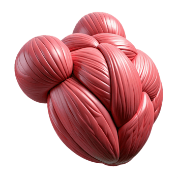 vibrant abstract Synthetic Muscle Fibers Contracting Isolated Element premium png