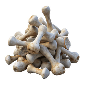serene contemporary Weathered Bone Pile Transparent Background detailed png