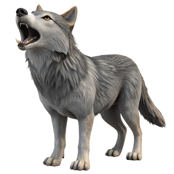 stunning abstract Wolf Howling Gray Fur Transparent Background exclusive png