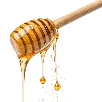 Free new honey dripping from a wooden stick on a transparent background png