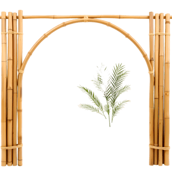 Bamboo Frame Transparent Background With Gradient Mesh, Illustration png