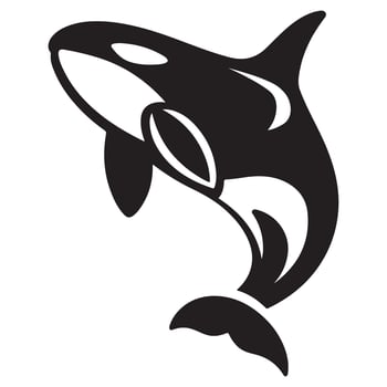 Striking Orca Silhouette Illustration Killer Whale Marine Mammal vector